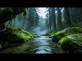 Gentle Jungle River Sounds for Relaxation, Meditation & Deep Focus | Nature Ambience