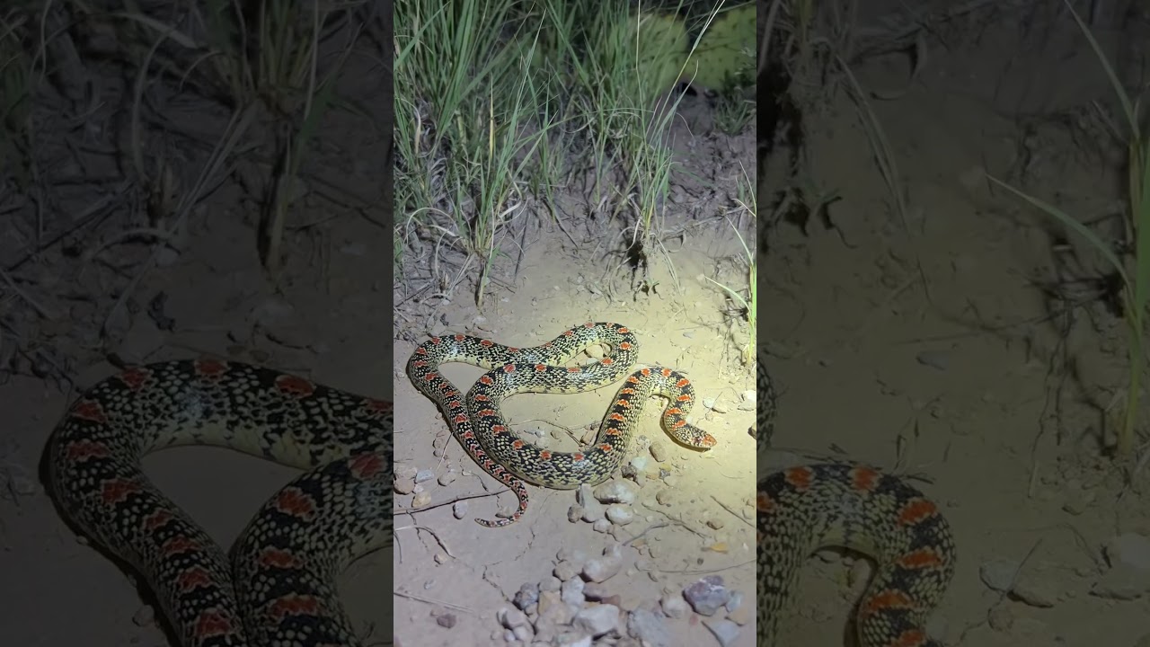 For all the love Milk 