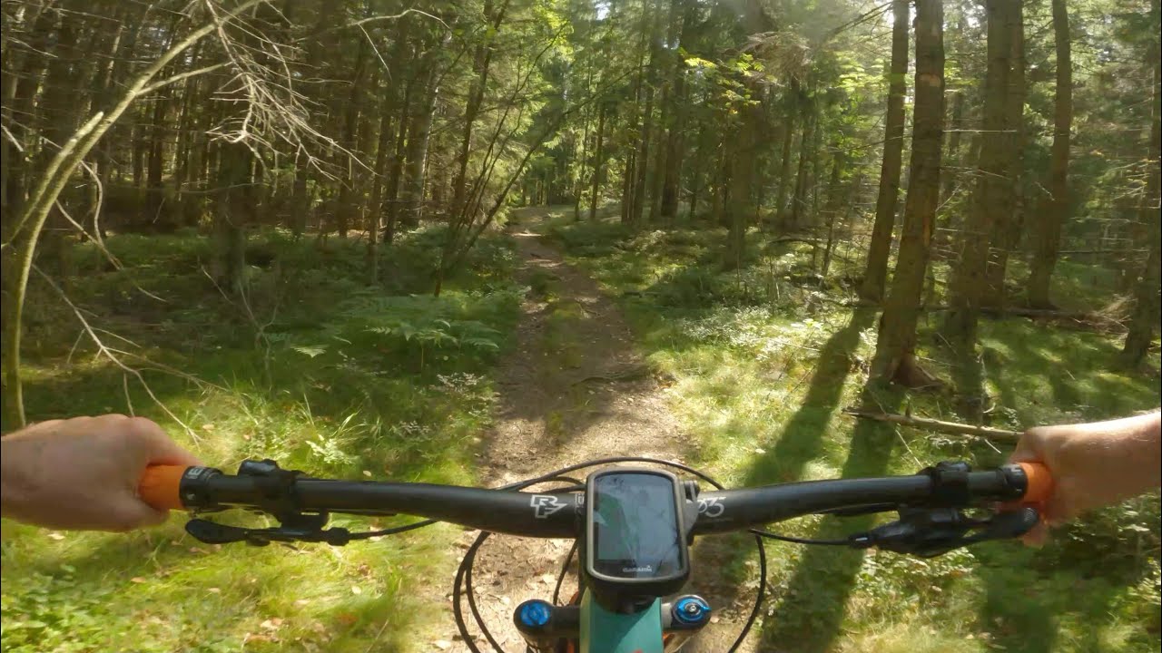 Sipoonkorpi MTB. Käpynä - Strava Segment