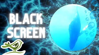 [NO ADS] Deep Underwater | Black Screen & Sleep Music with Ocean Sounds by Peder B. Helland