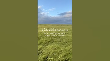 قرآن كريم 💚🌱#قرآن #اكسبلور #المصحف #ياسر_الدوسري #راحة_نفسية #explore