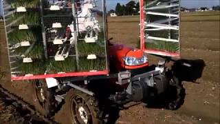 乗用4条たまねぎ移植機(ポット448苗箱用) | みのる産業株式会社 agri