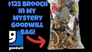 GOODWILL JEWELRY MYSTERY BAG - AMAZING FINDS!