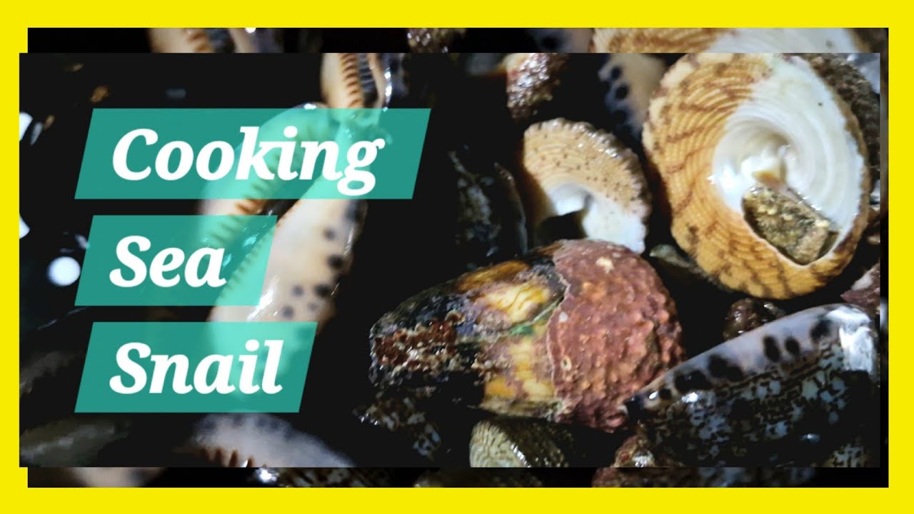COOKING Sea Snail FEAST with Family in the Province! || 