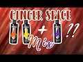 GINGER SPICE MIX Arctic Fox | Hair Level Swatches
