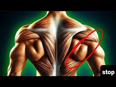 STOP F*cking Up Back Workout | Dumbell Row (PROPER FORM)
