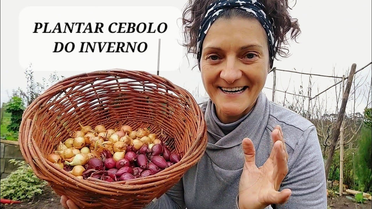 COMO PLANTAR CEBOLAS NO INVERNO 🧅   || {NUSKA}