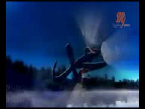 მე ასეთი არ უნდა ვყოფილიყავი