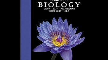 Introduction to Ecology and the Biosphere | Chapter 52 – Campbell Biology