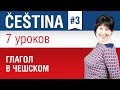 Урок 3. Глаголы в чешском языке. Чешский язык за 7 уроков для начинающих. Грамматика. Елена Шипилова