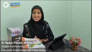 Pdduktpt  Pengajaran  Serdos Smart 2023  Nyayu Fitriani  Universitas Muhammadiyah Palembang
