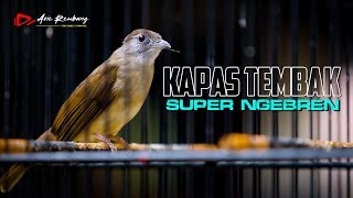 KAPAS TEMBAK GACOR SUPER NGEBREN