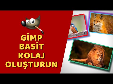 Video: Gimp'te Kolaj Nasıl Yapılır