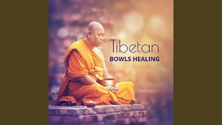 Celestial Meditation Experience