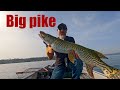 Luccio a vertical con approccio "finesse"! #pike #fishing #luccio