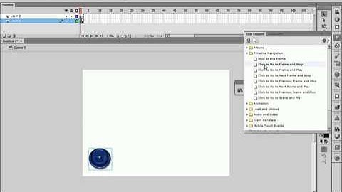 gotoAndStop  AS3 xvid