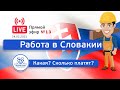 Работа в Словакии: какая? сколько платят? Прямой эфир №13.