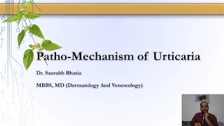 Patho-Physiology of Urticaria: Role of Mast Cells, Basophils, Eosinophils, and Auto-Antibodies