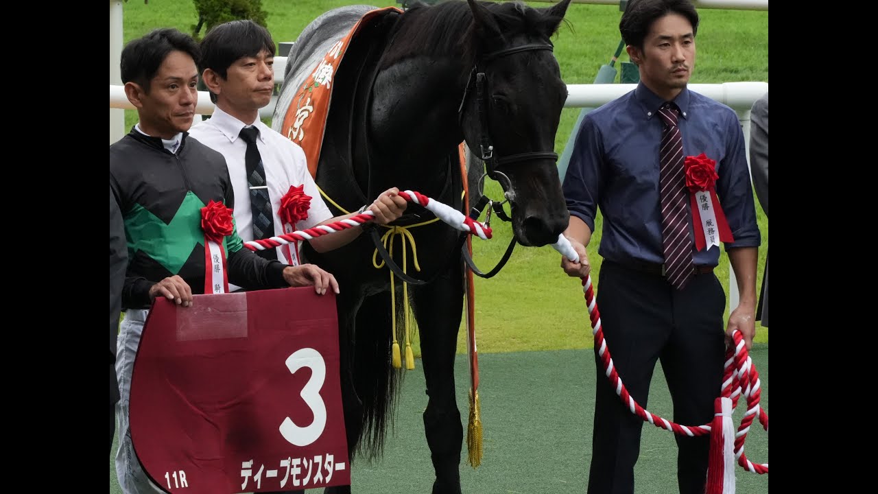 ディープモンスター　2025 京都大賞典 パドック、返し馬、スタート、ゴール、口取り