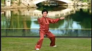 Forma 36 stile Chen eseguita da Kan Guixiang