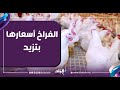 Chicken Prices Are Increasing Ahmed Moussa Every Time Ramadan Approaches All Prices Increase 