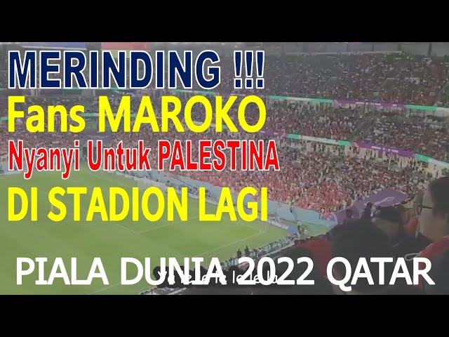 Merinding, Fans MAROKO Nyanyi Lagu PALESTINA pada Piala Dunia 2022 Qatar class=