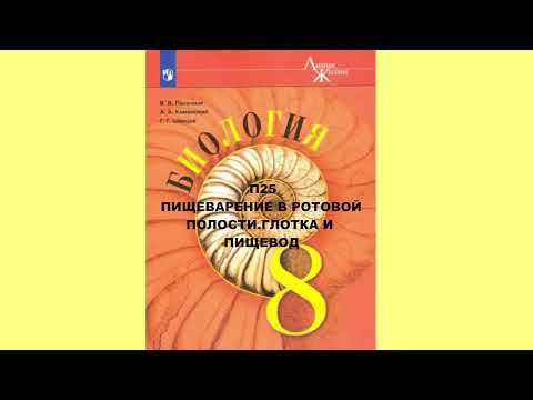 П25 ПИЩЕВАРЕНИЕ В РОТОВОЙ ПОЛОСТИ, ГЛОТКА И ПИЩЕВОД, БИОЛОГИЯ 8 КЛАСС, АУДИОУЧЕБНИК, СЛУШАТЬ АУДИО