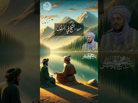 مهمة الشيخ في السلوك