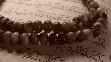 سورة الحشر  _ محمود عبد الحكم