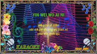 Yin wei wo ai ni - karaoke no vokal cover tos pinyin