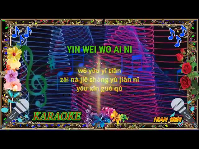 Yin wei wo ai ni - karaoke no vokal (cover to lyrics pinyin) class=