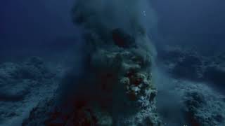 The Hidden Worlds Beneath Our Oceans | Exploring Earth’s Final Frontier Net Worth