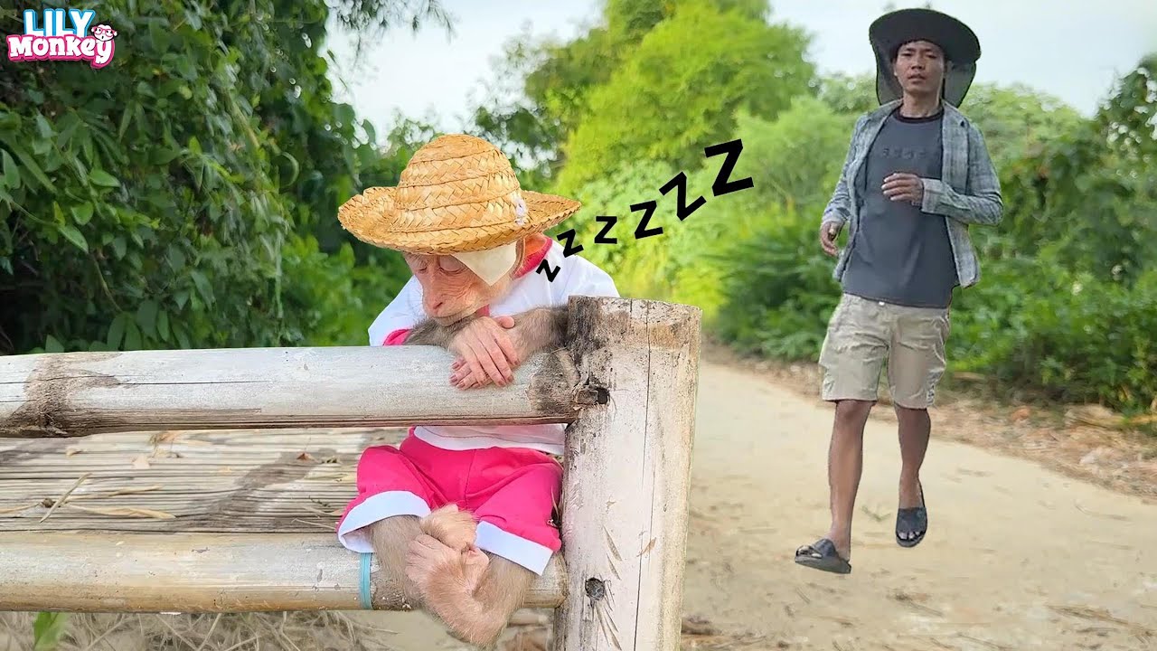 Oh dear God!!! Lily fell asleep outside on her way to find Dad and then... | Lily's story