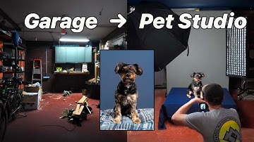 I Transformed My Garage Into a Pet Photography Studio