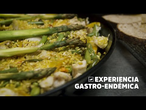 Te armamos esta ruta para una experiencia gastro-endémica