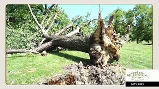 Tornado Damage in St  Louis, MO | Bellefontaine Cemetery and Arboretum | May, 2025