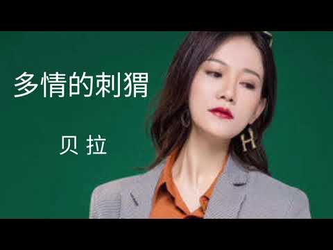 美女贝拉新歌《多情的刺猬》