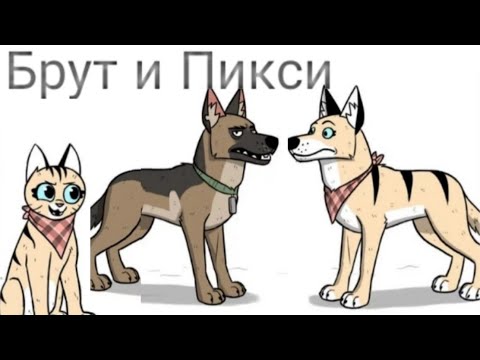 Брут и Пикси:-)