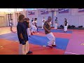 karate training 7 (archive 2017 - 2)