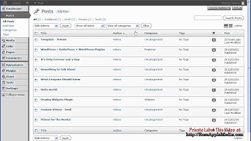 WordPress 3.4 All Posts Settings