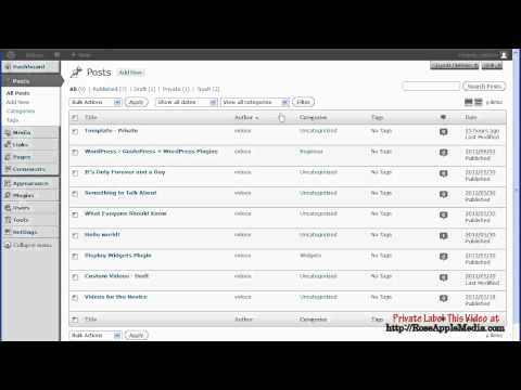 WordPress 3.4 All Posts Settings