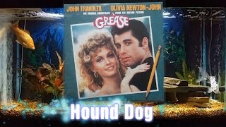 Video thumbnail of "Hound Dog - Sha-Na-Na"