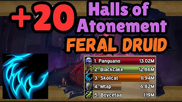 Halls of Atonement +20 | Feral Druid | TWW Season 3