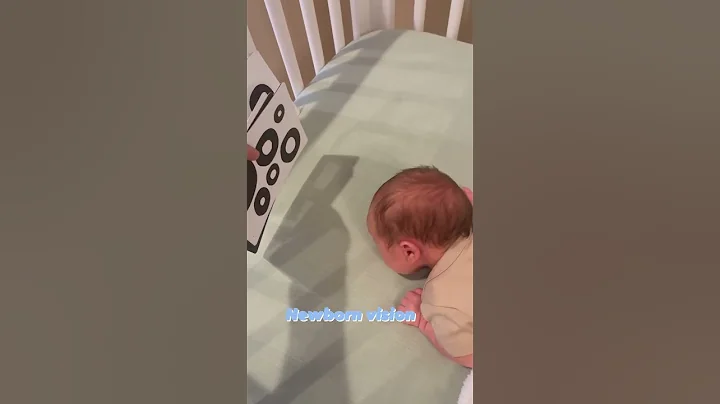 Newborn vision. Maria Teresa Ferrer, Dr in Physical Therapy - DayDayNews