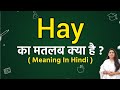 Hay का अर्थ हिंदी में | Hay का मतलब क्या है 🌾