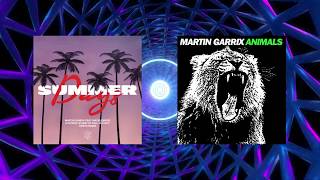 Martin Garrix  Summer Days tiesto Remix Vs Animals martin Garrix Mashup