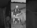 熊をドッキリ案山子で撃退した瞬間！ #animalshorts #衝撃映像 #監視カメラ #自然の記録 #野生動物