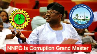 Corruption In NDDC Is Amateur Compared With NNPC
