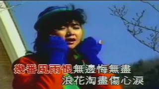 錢幽蘭 未完成的夢