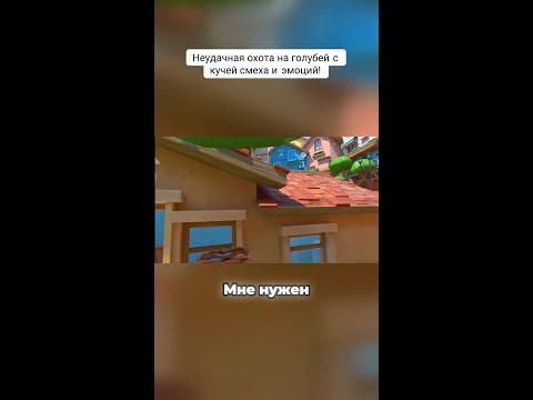 Неудачная охота на голубей с кучей смеха и эмоций!